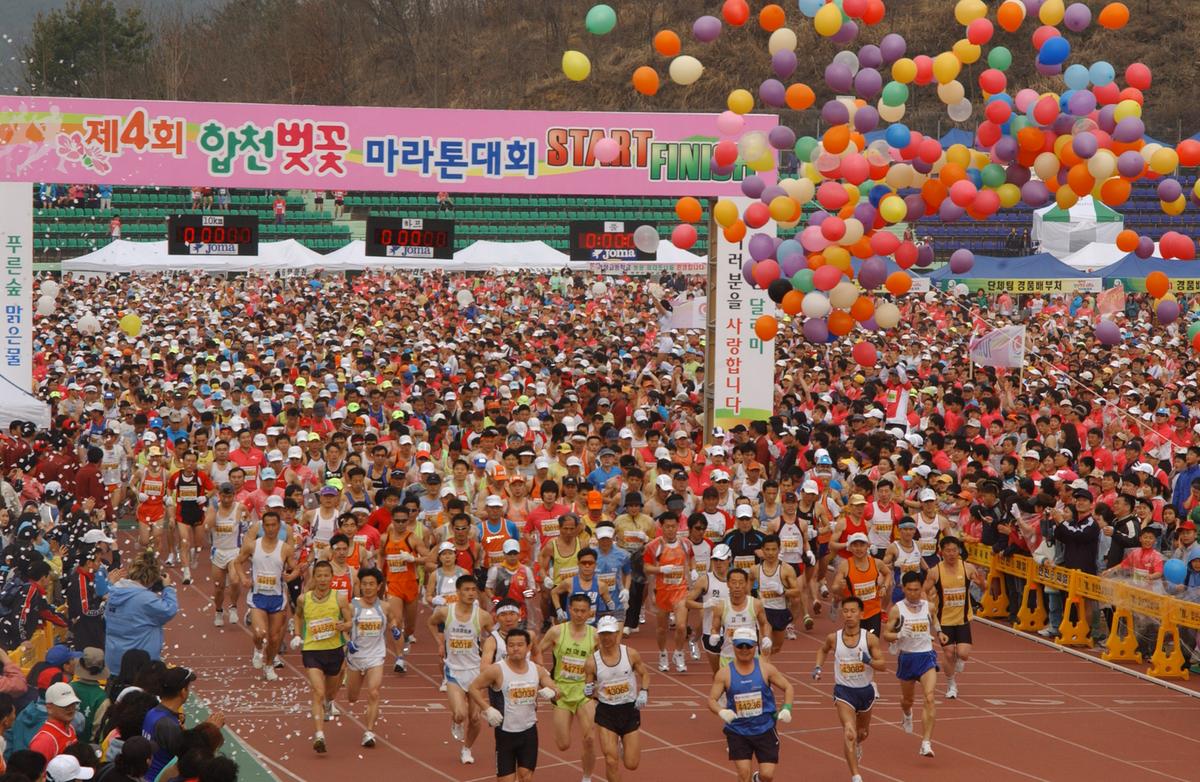 벚꽃마라톤대회-1