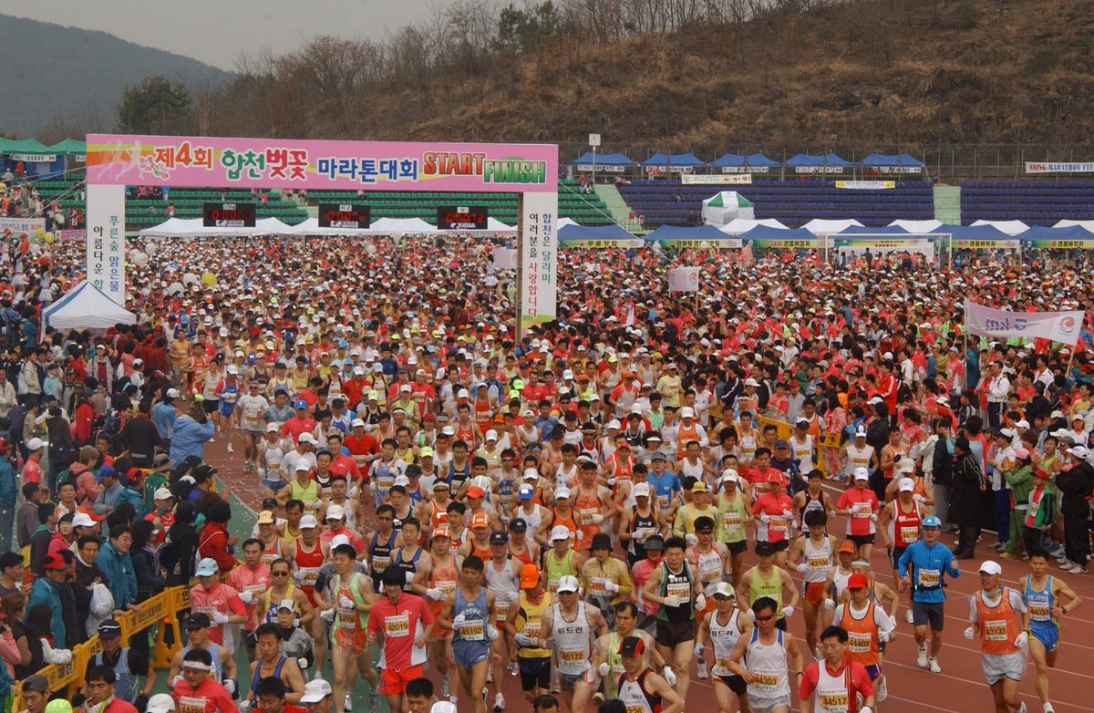 벚꽃마라톤대회-1