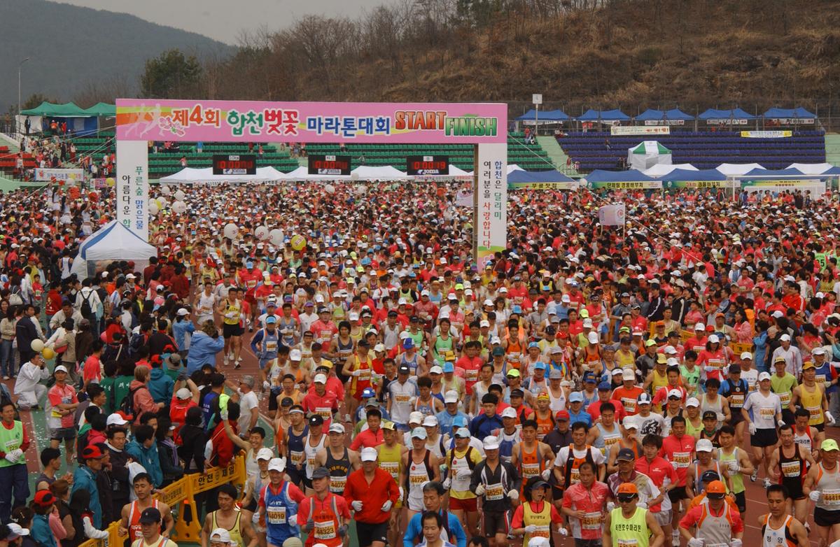 벚꽃마라톤대회-1