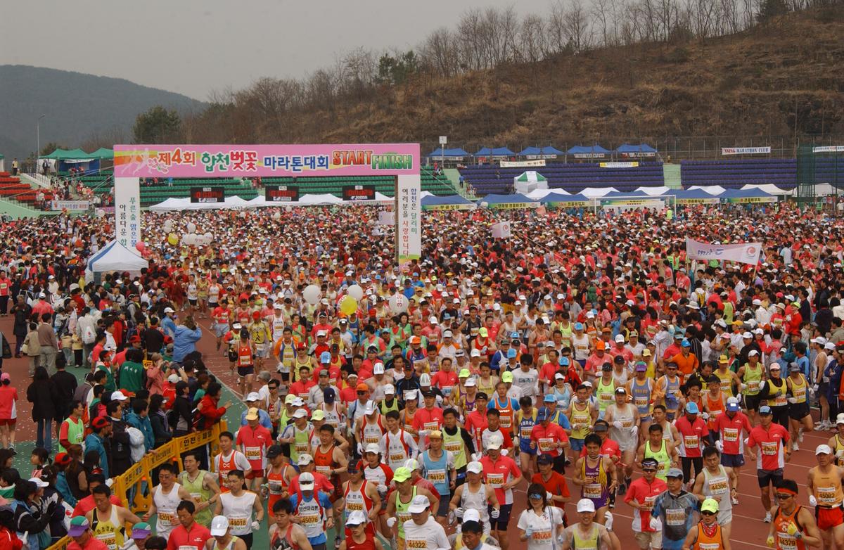 벚꽃마라톤대회-1