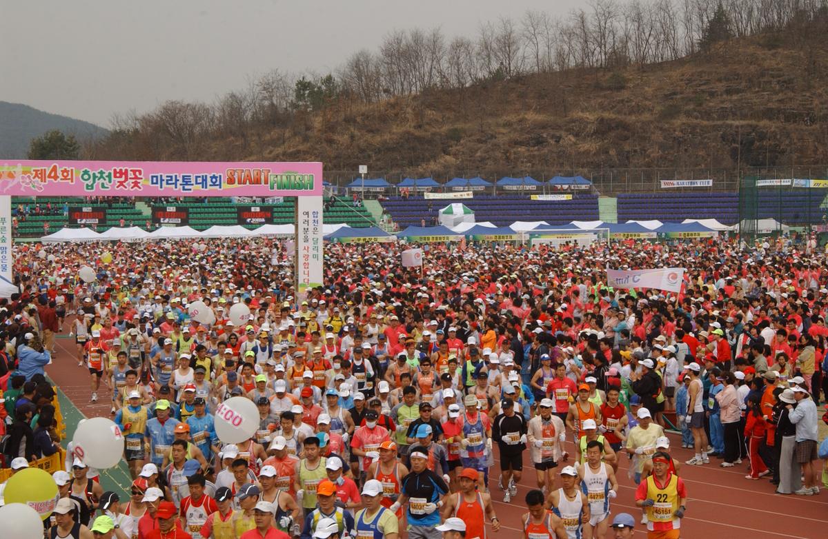 벚꽃마라톤대회-2