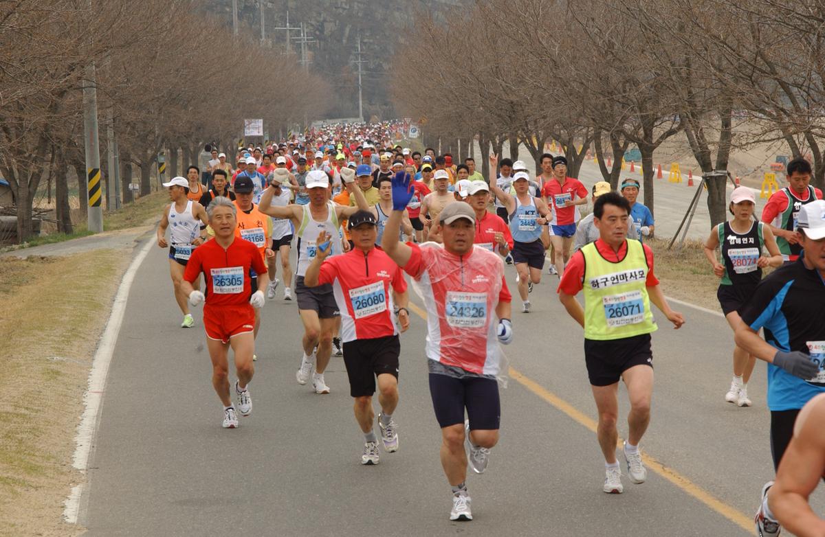 벚꽃마라톤대회-3