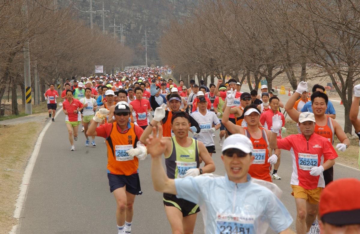 벚꽃마라톤대회-3