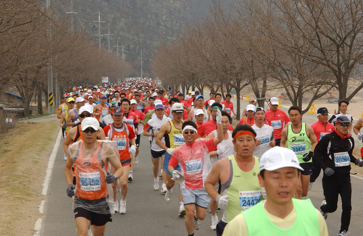 벚꽃마라톤대회-4