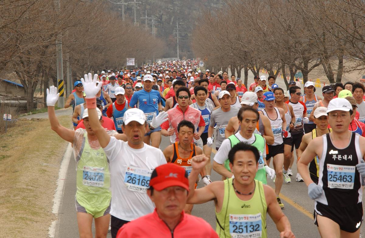 벚꽃마라톤대회-4