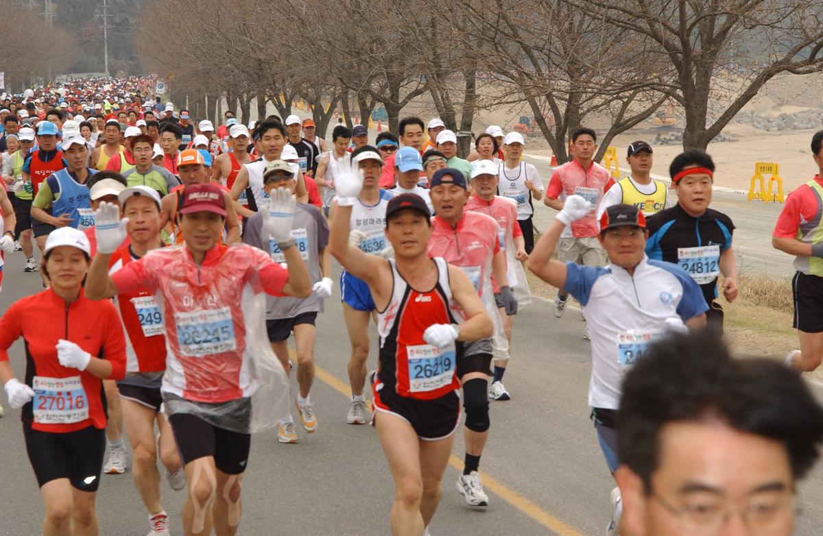 벚꽃마라톤대회-4