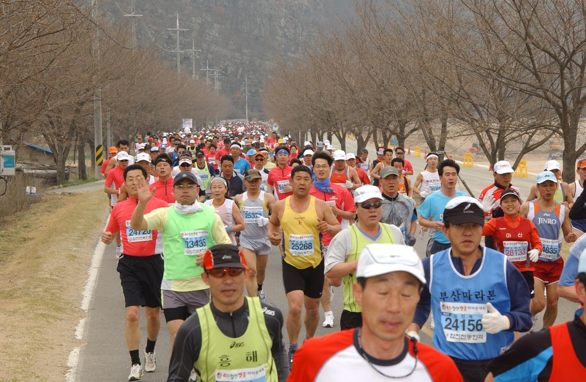 벚꽃마라톤대회-4