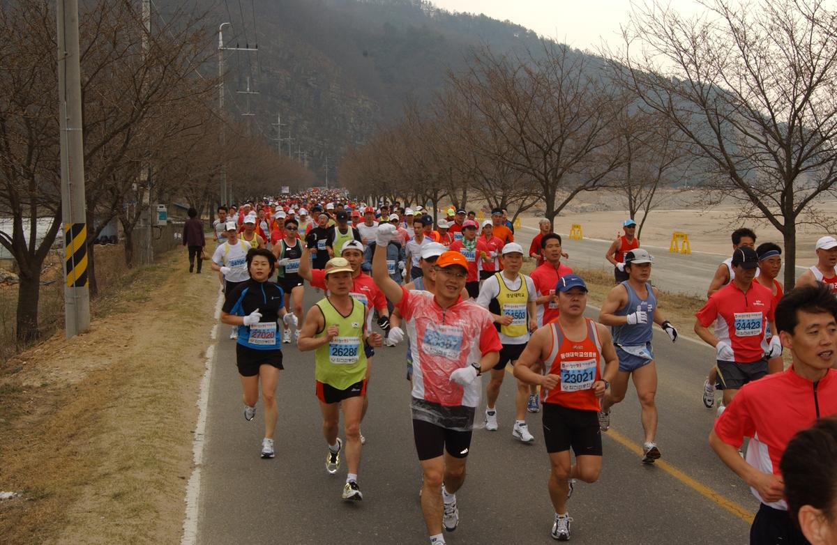 벚꽃마라톤대회-5