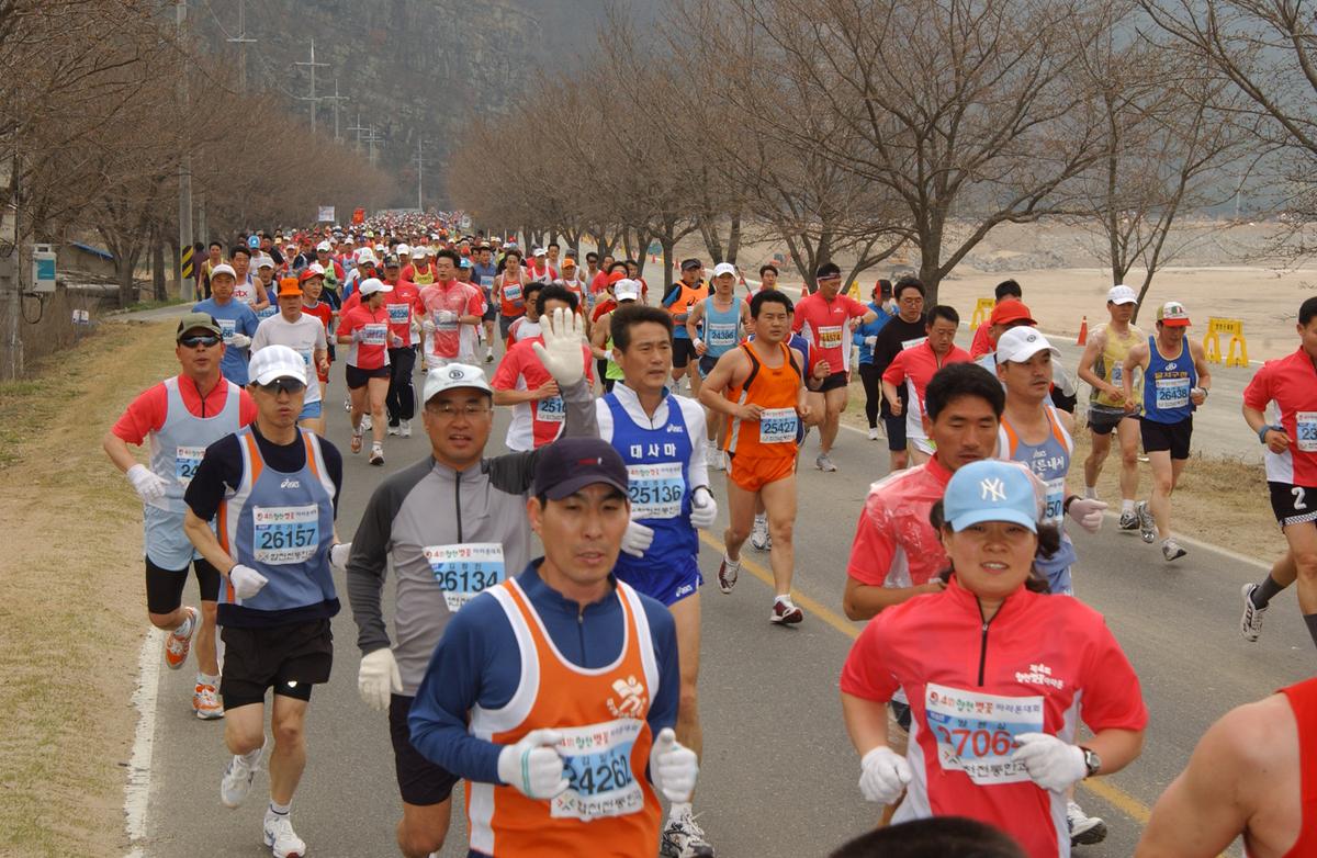 벚꽃마라톤대회-5
