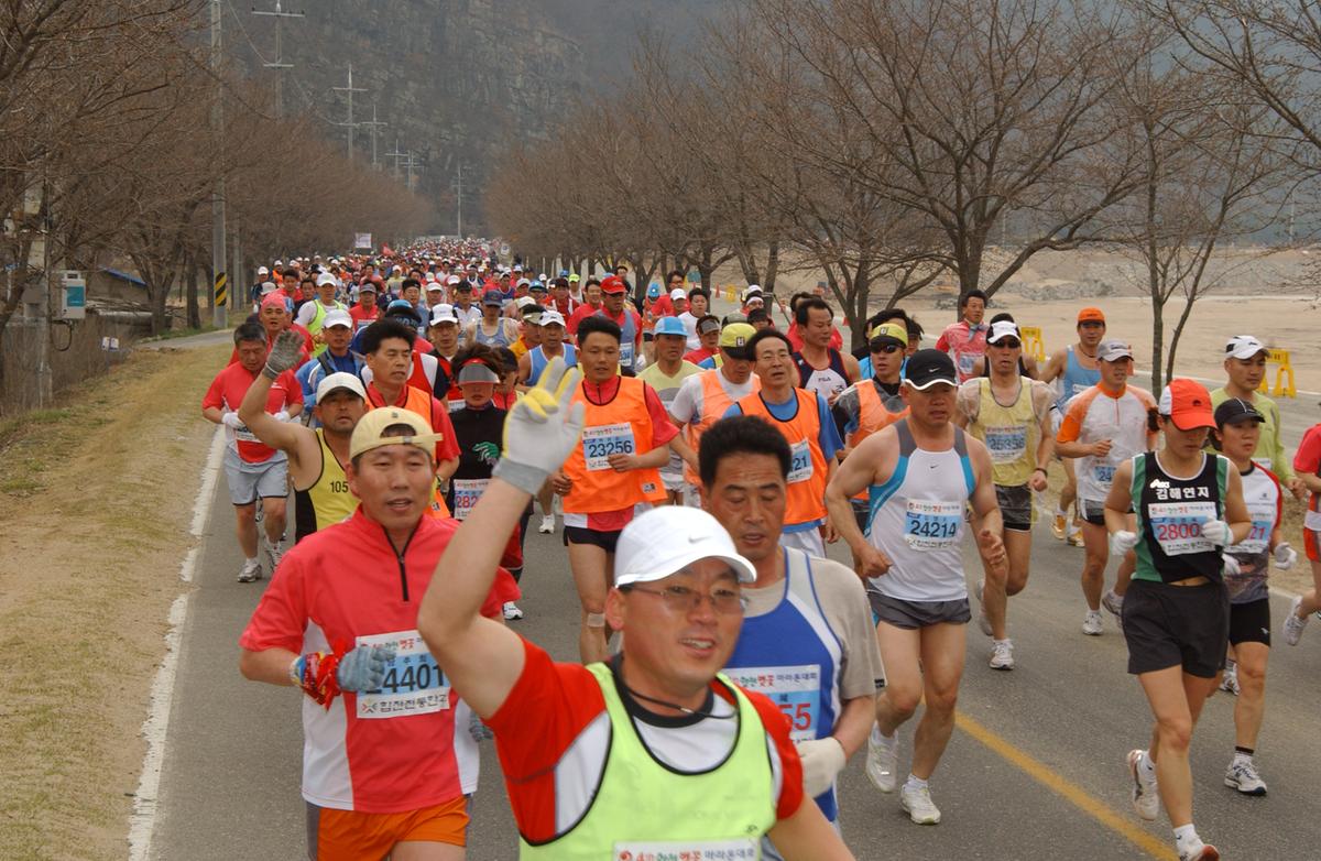 벚꽃마라톤대회-5