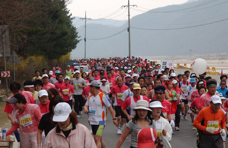 벚꽃마라톤대회-6