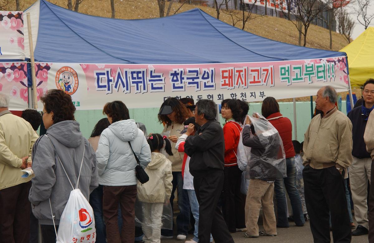 벚꽃마라톤대회-6