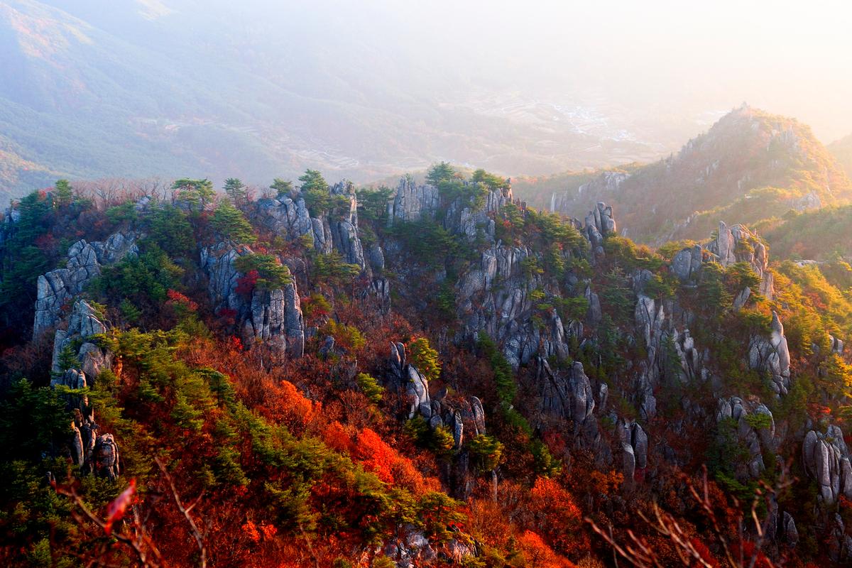 2008년 매화산의가을