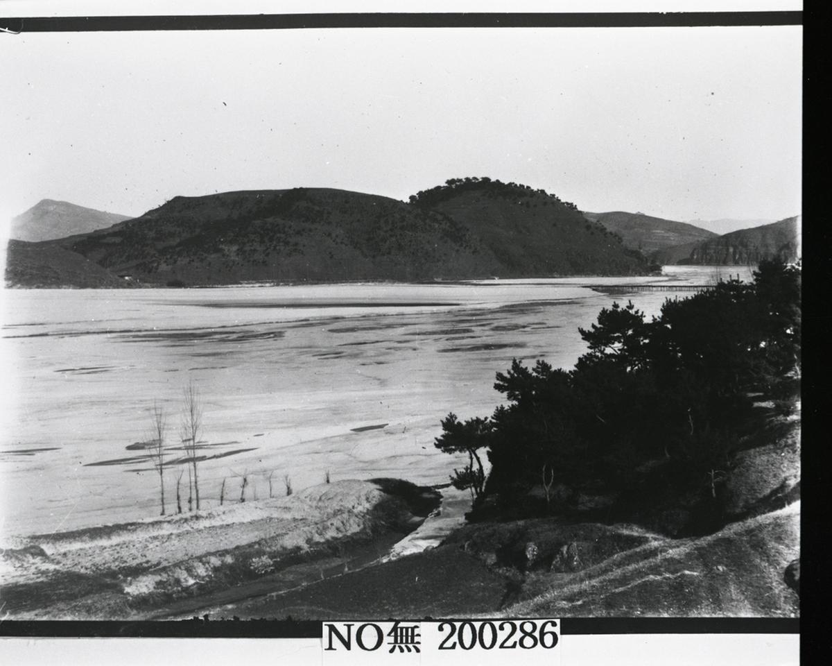대야성(1920)