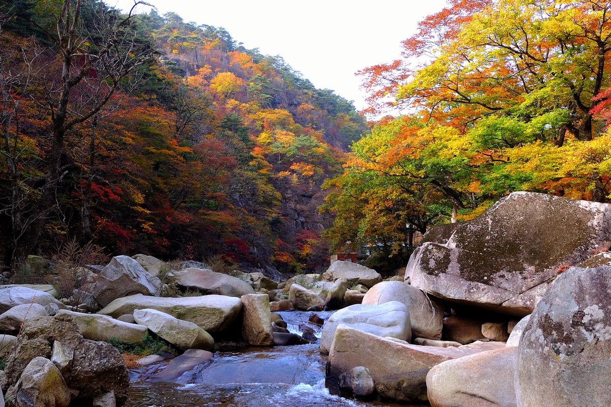 합천3경 홍류동계곡