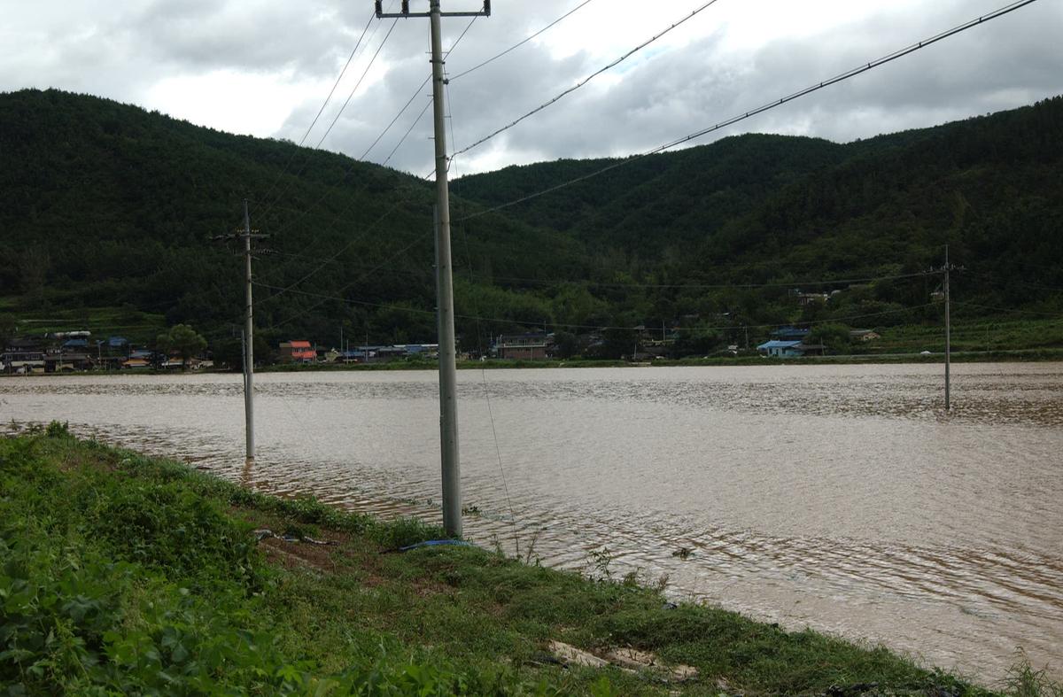 루사