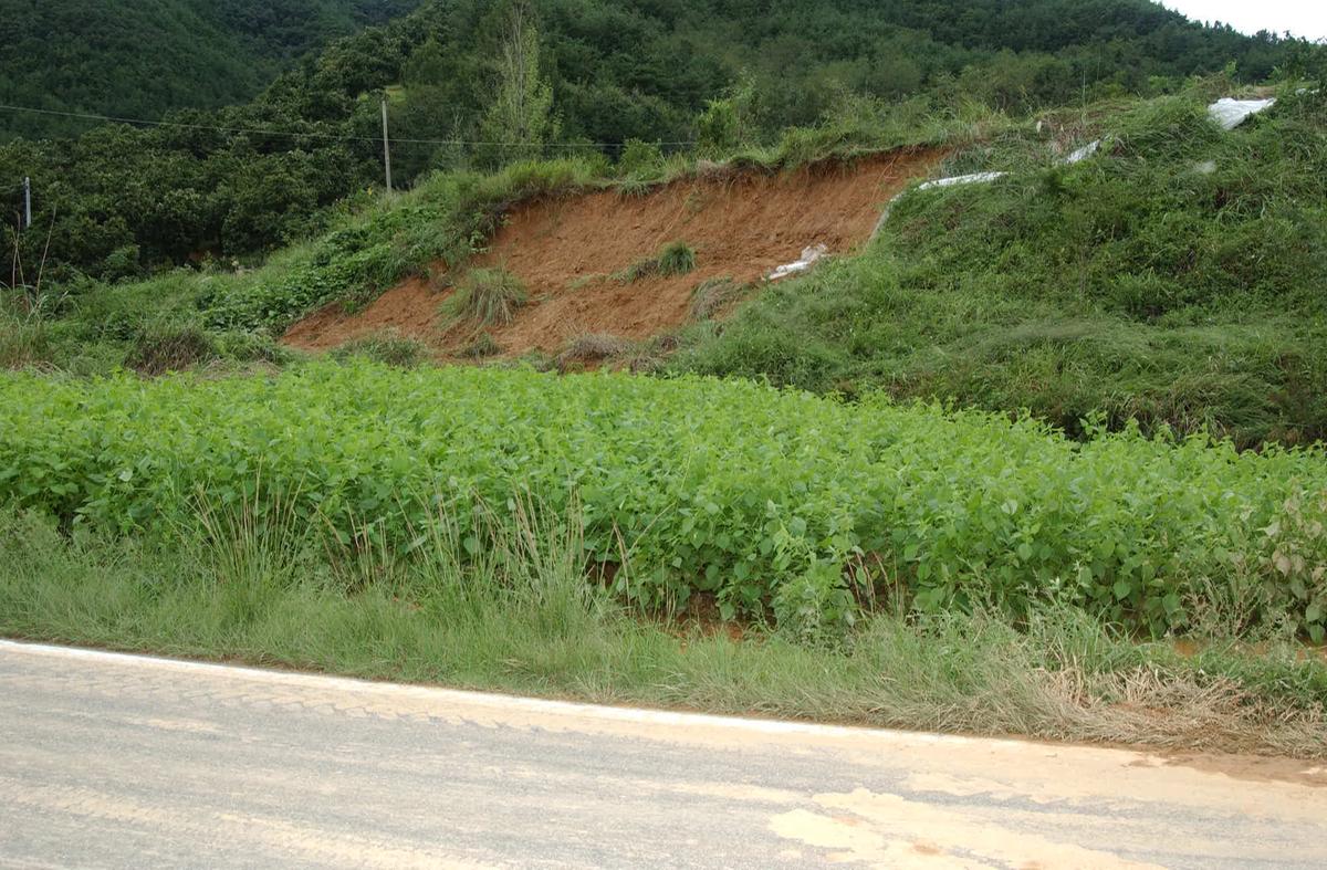 루사