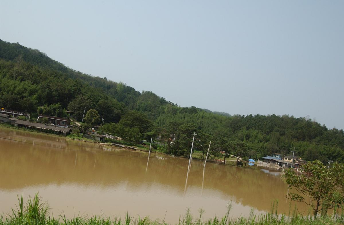 루사