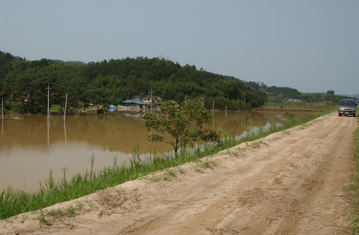 루사