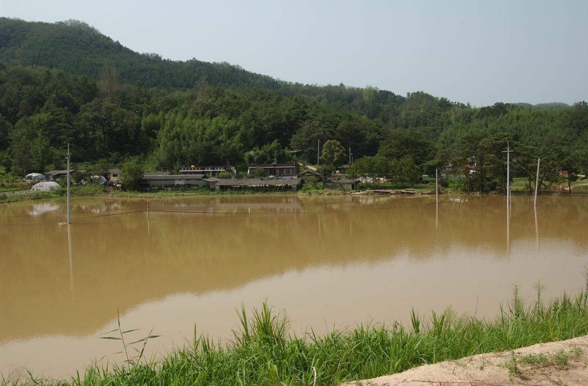 루사