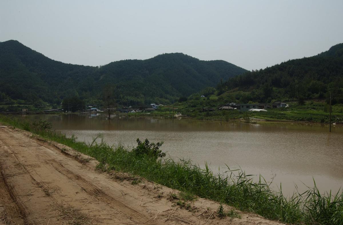 루사