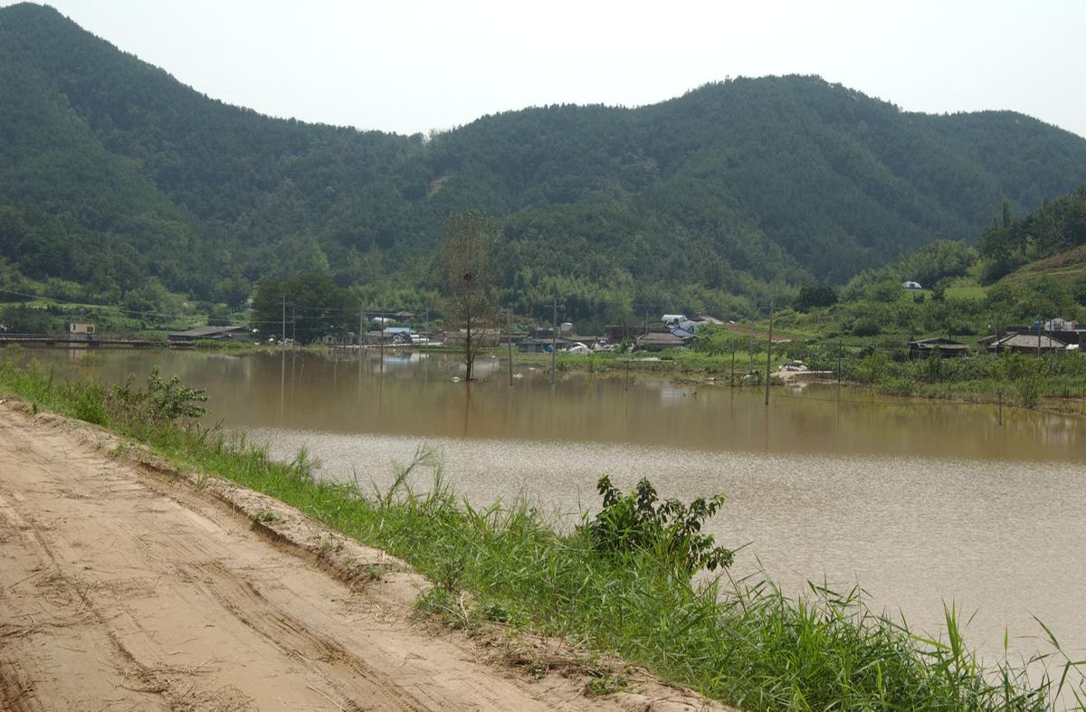 루사