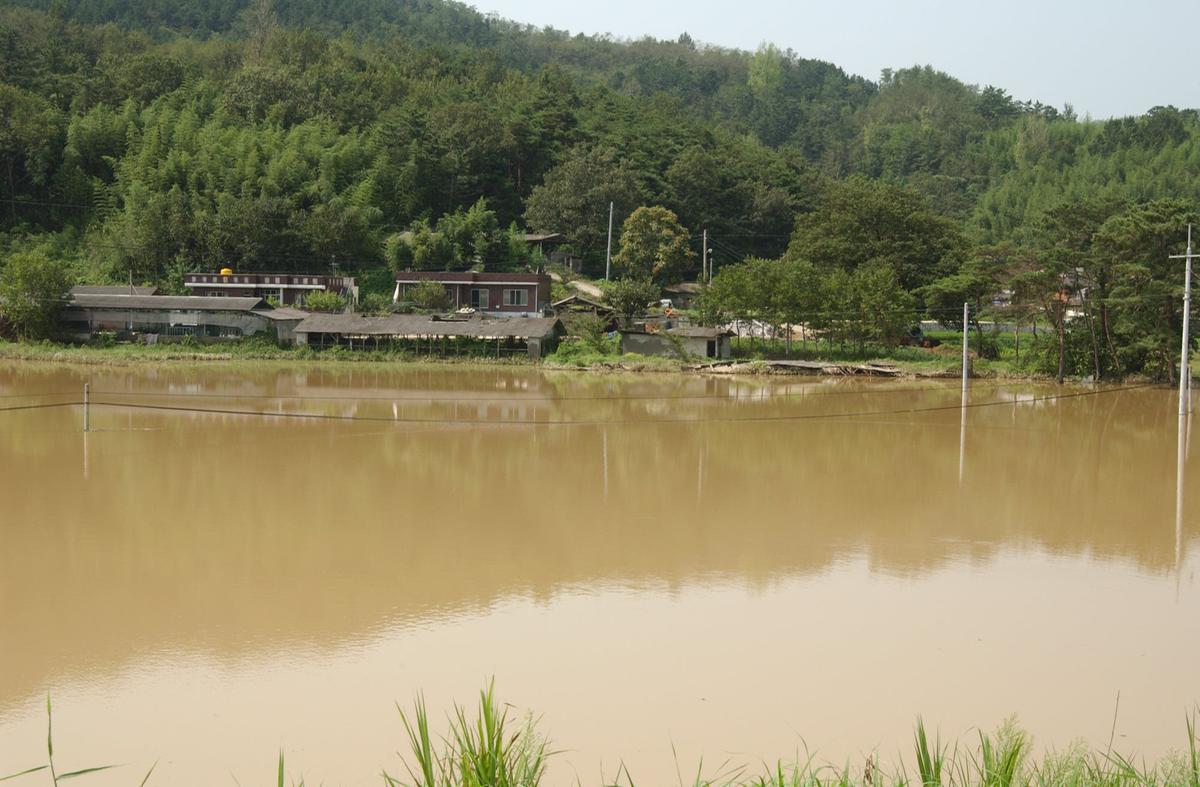 루사