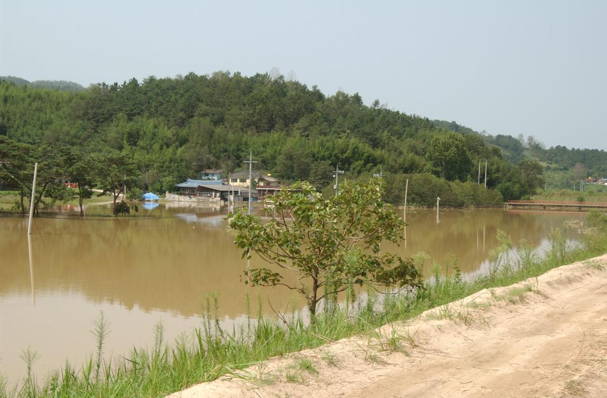 루사