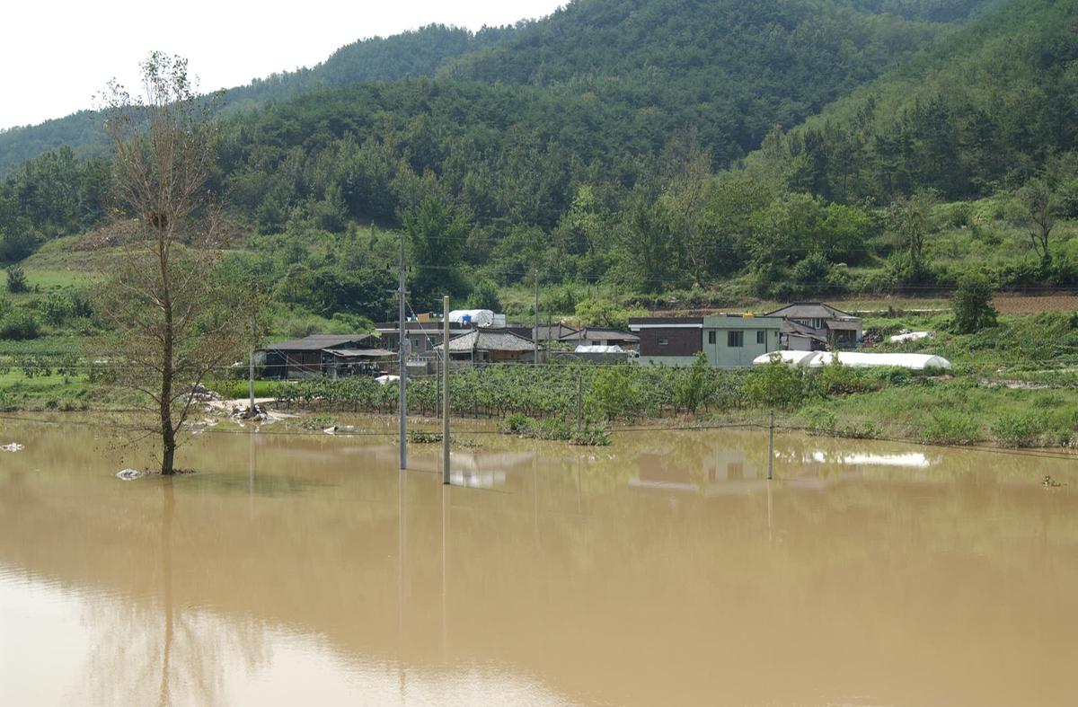 루사