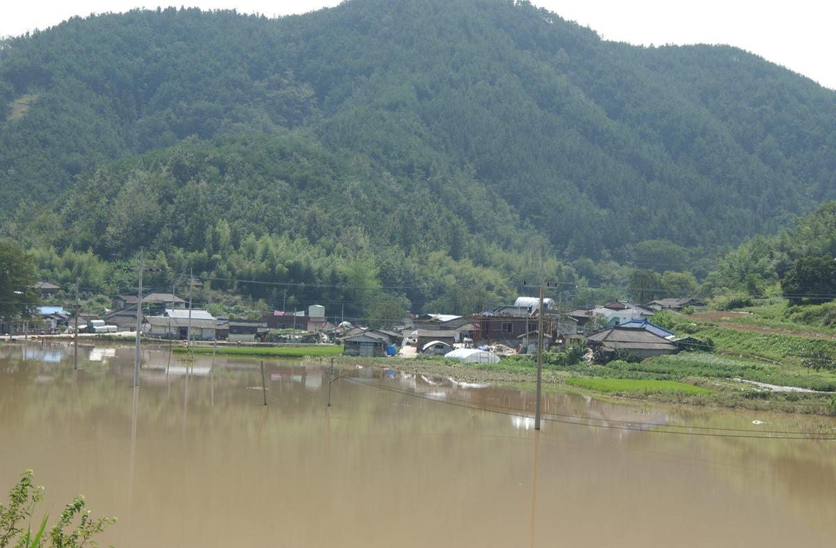 루사