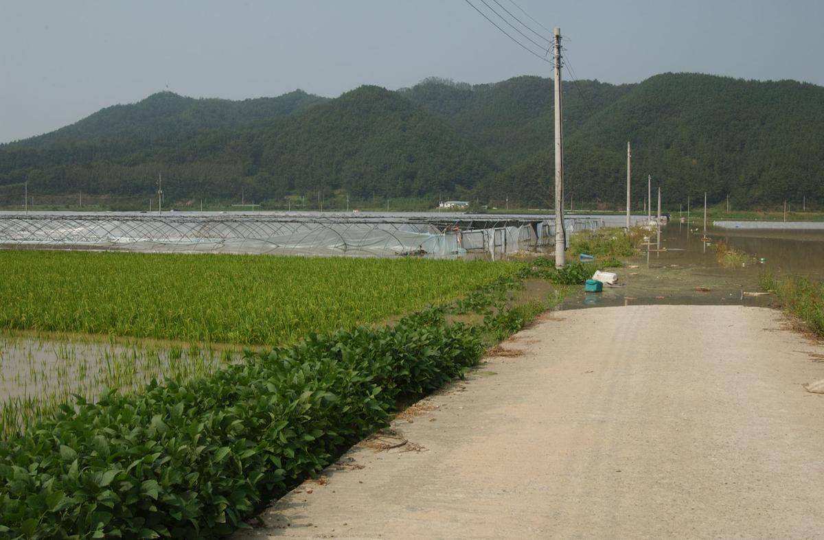 루사