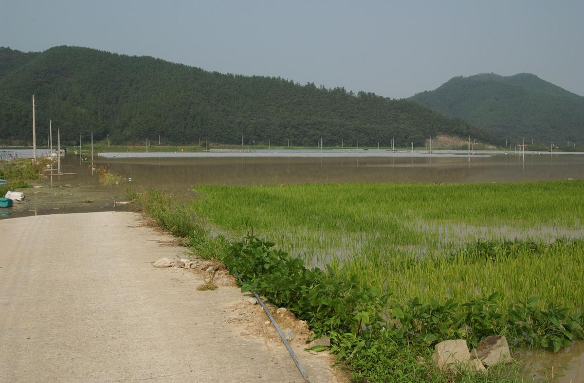 루사