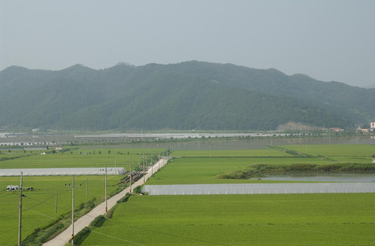 루사
