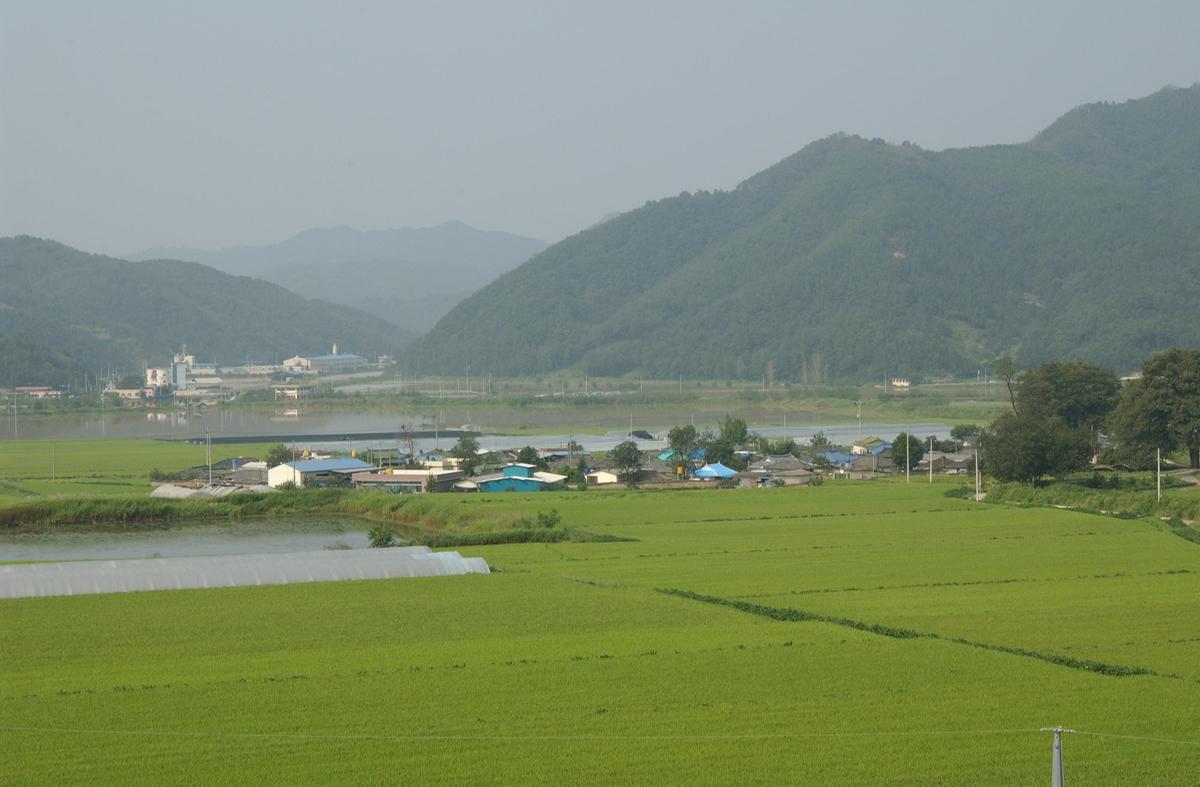 루사