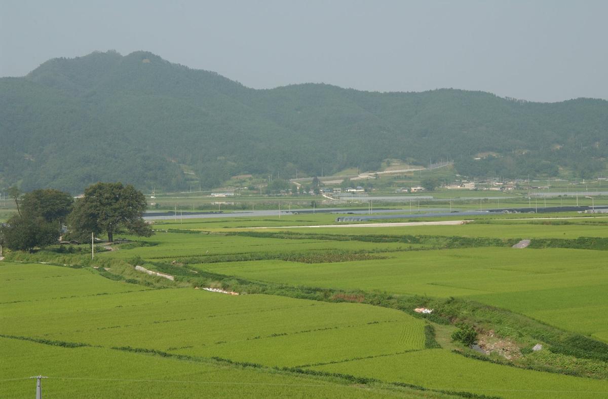루사