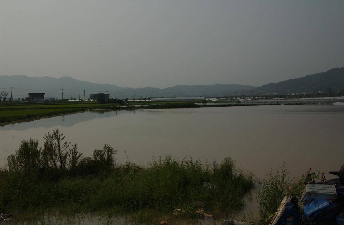 루사