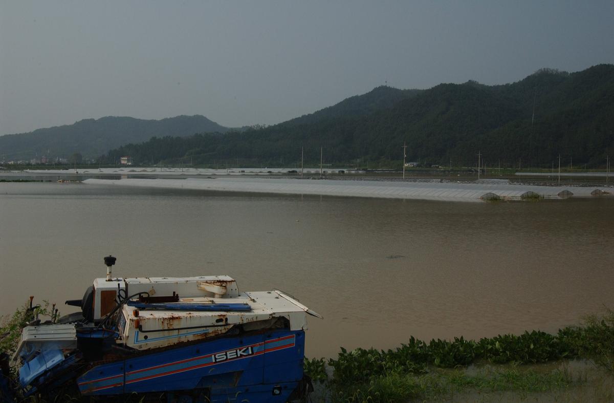 루사