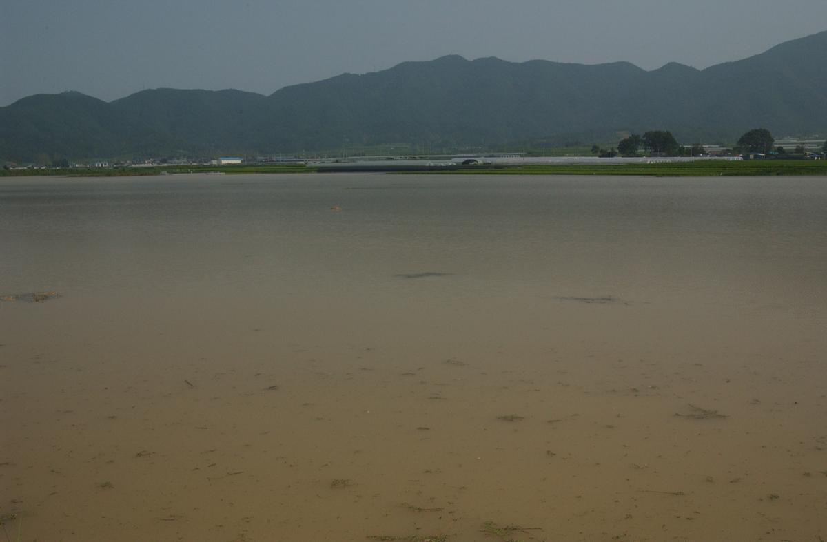 루사