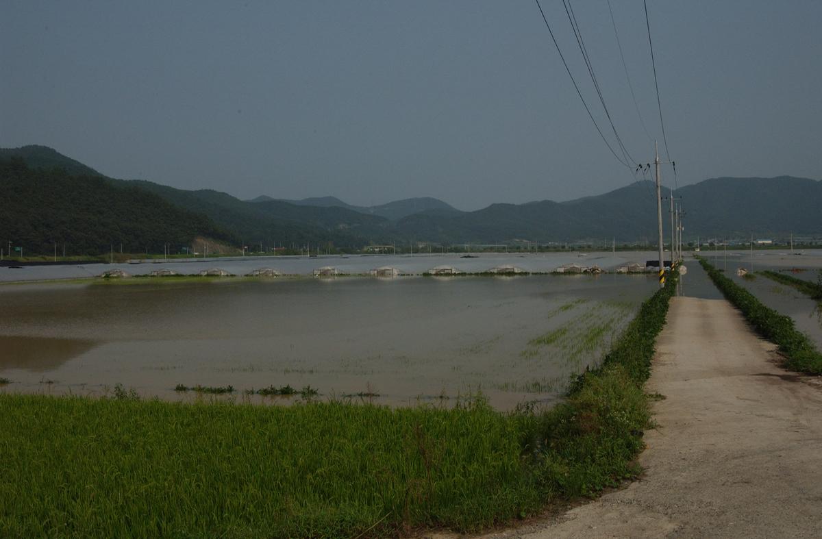 루사
