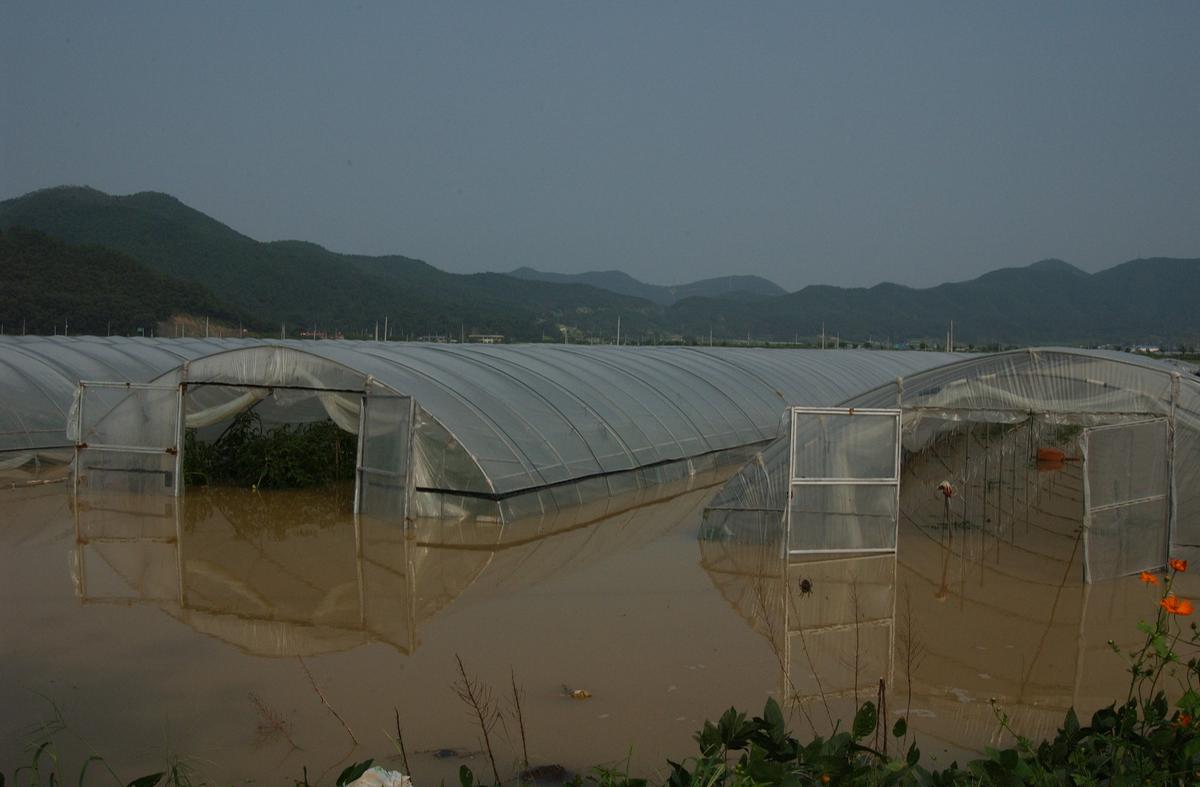 루사