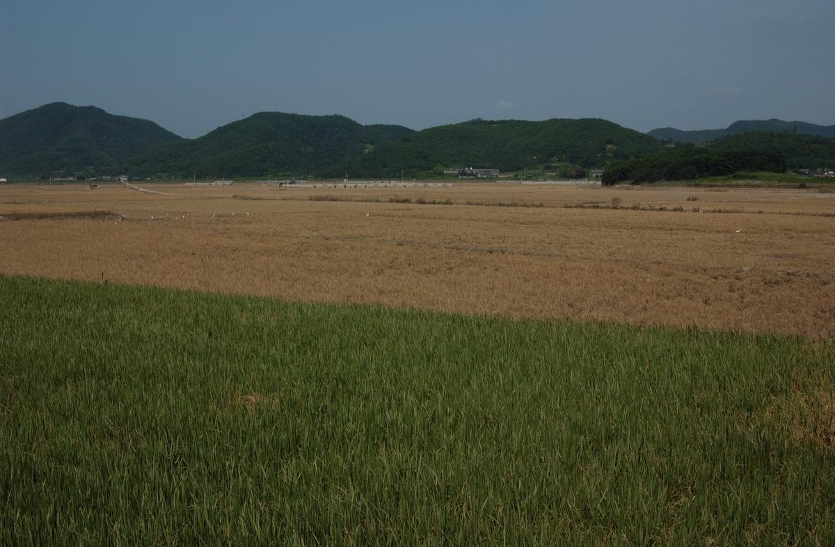 수해