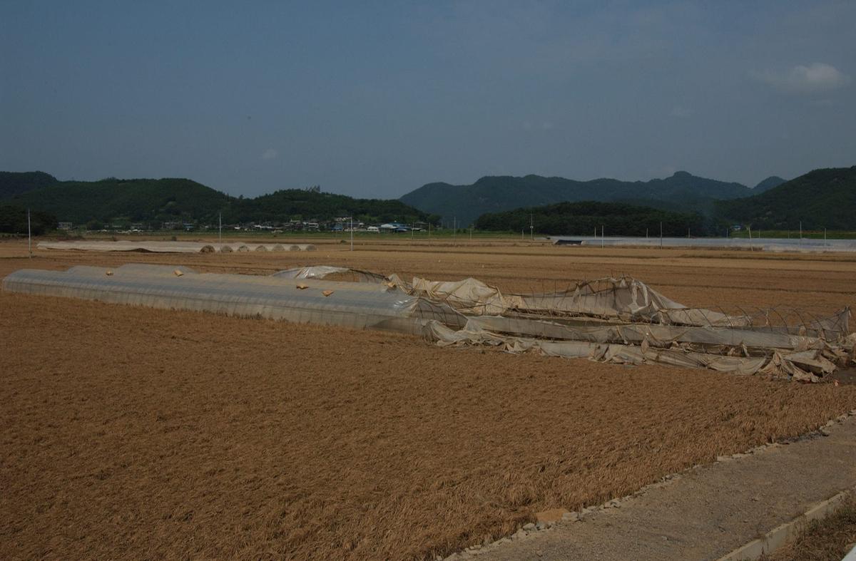 수해