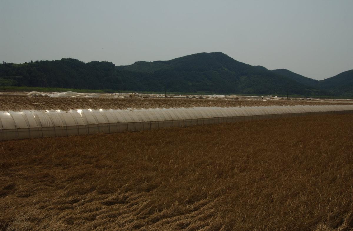 수해