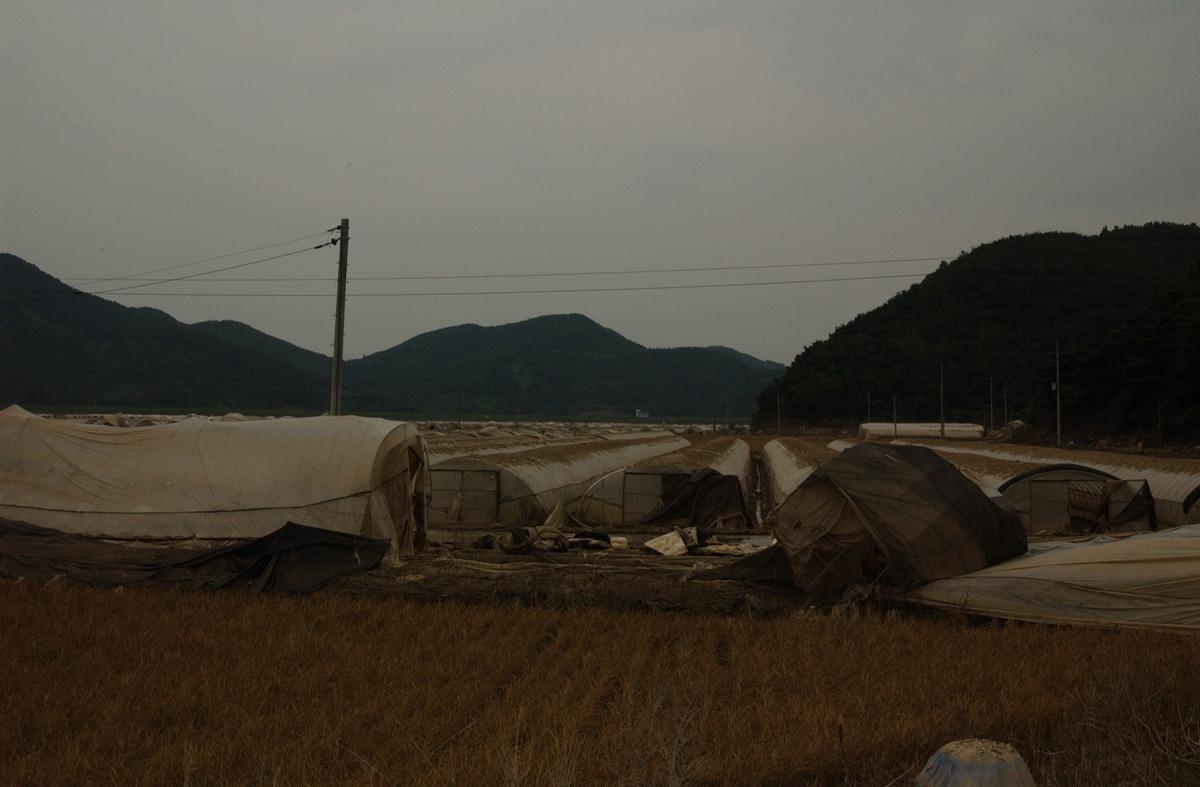 제목없음, 수해2