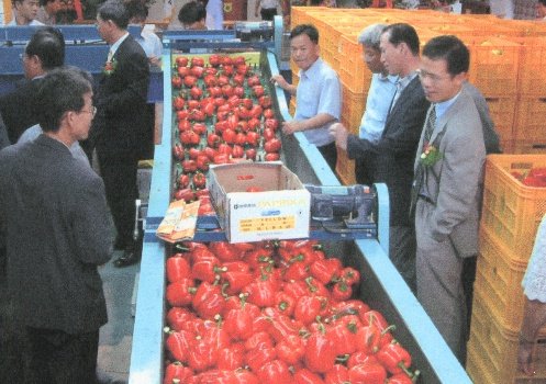 수출자료