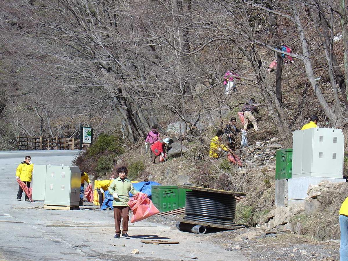 자연정화활동