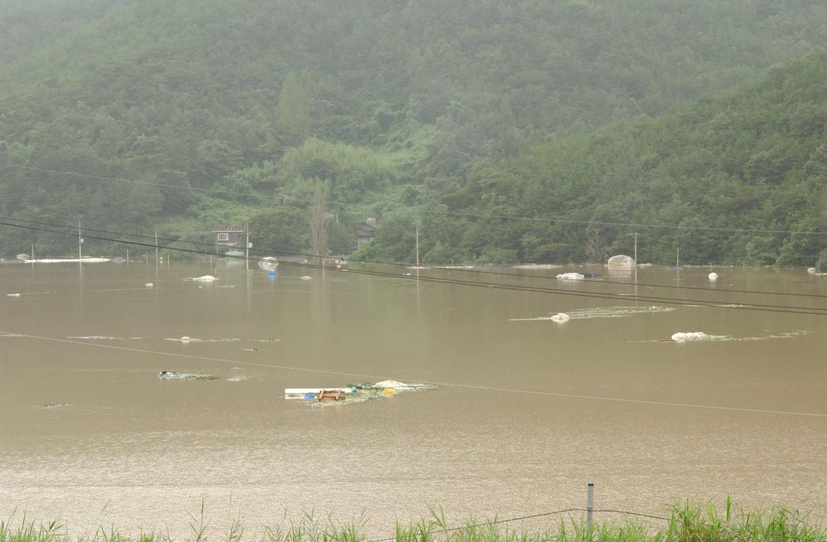광안물