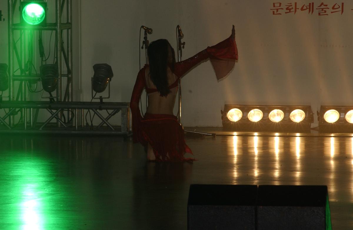 2005합천예술제8