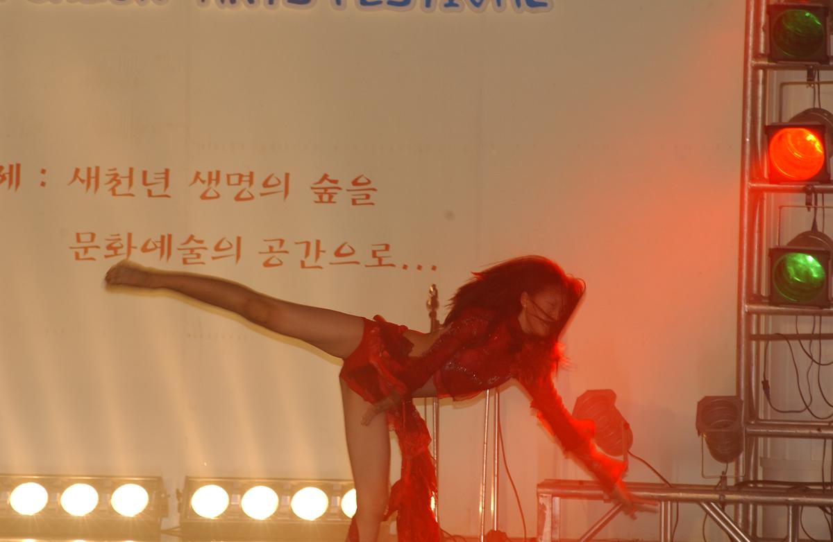 2005합천예술제8