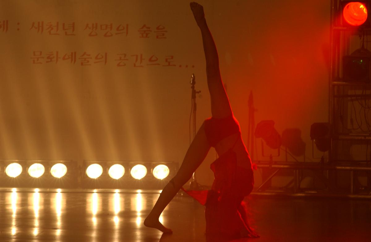 2005합천예술제8